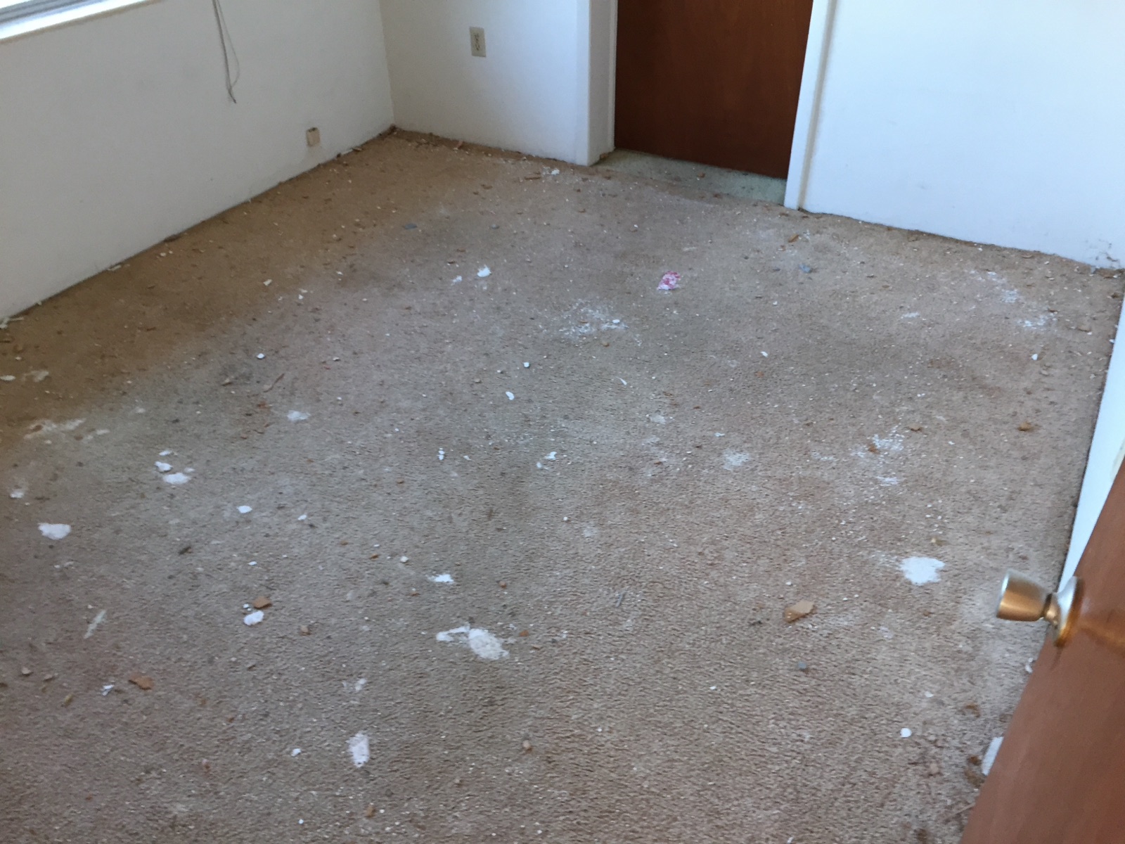 Worn carpet over the original terrazzo floor before restoration